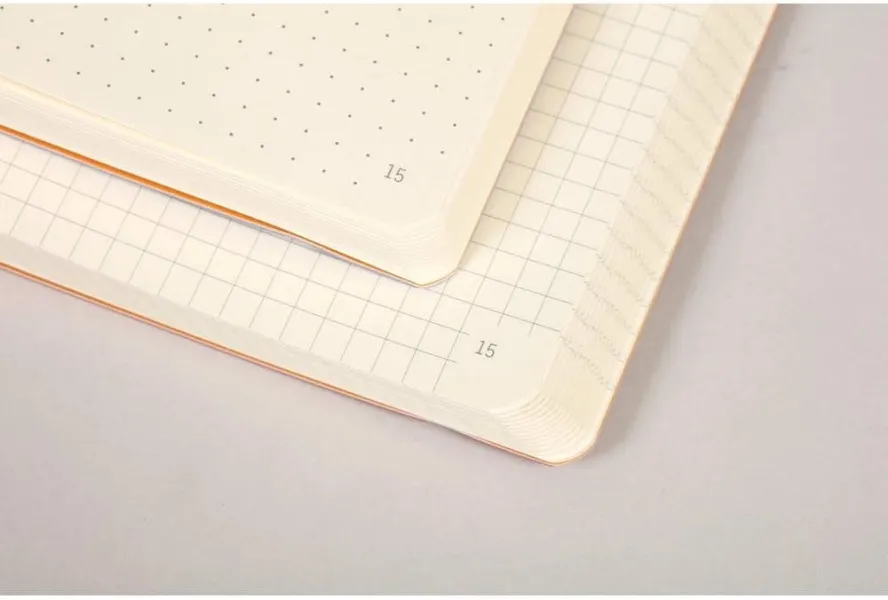 σημειωματάριο rhodia goalbook silver a5 120 φύλλα - Rhodia